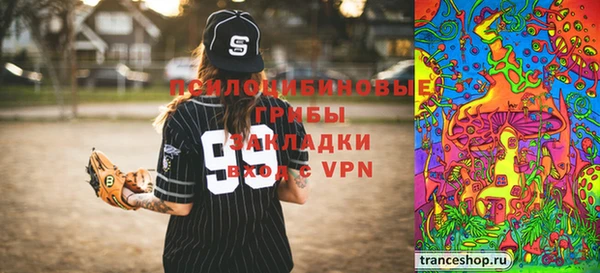 мдпв Алексин