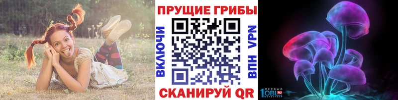 Псилоцибиновые грибы Psilocybe  Ковров 