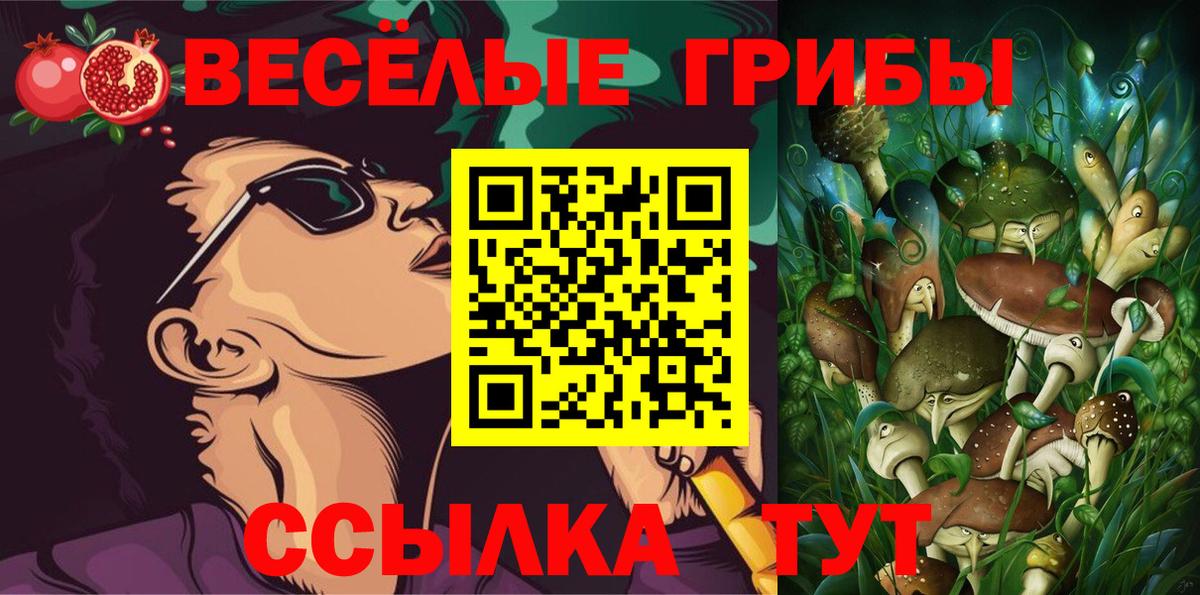 Галлюциногенные грибы Psilocybine cubensis Ковров
